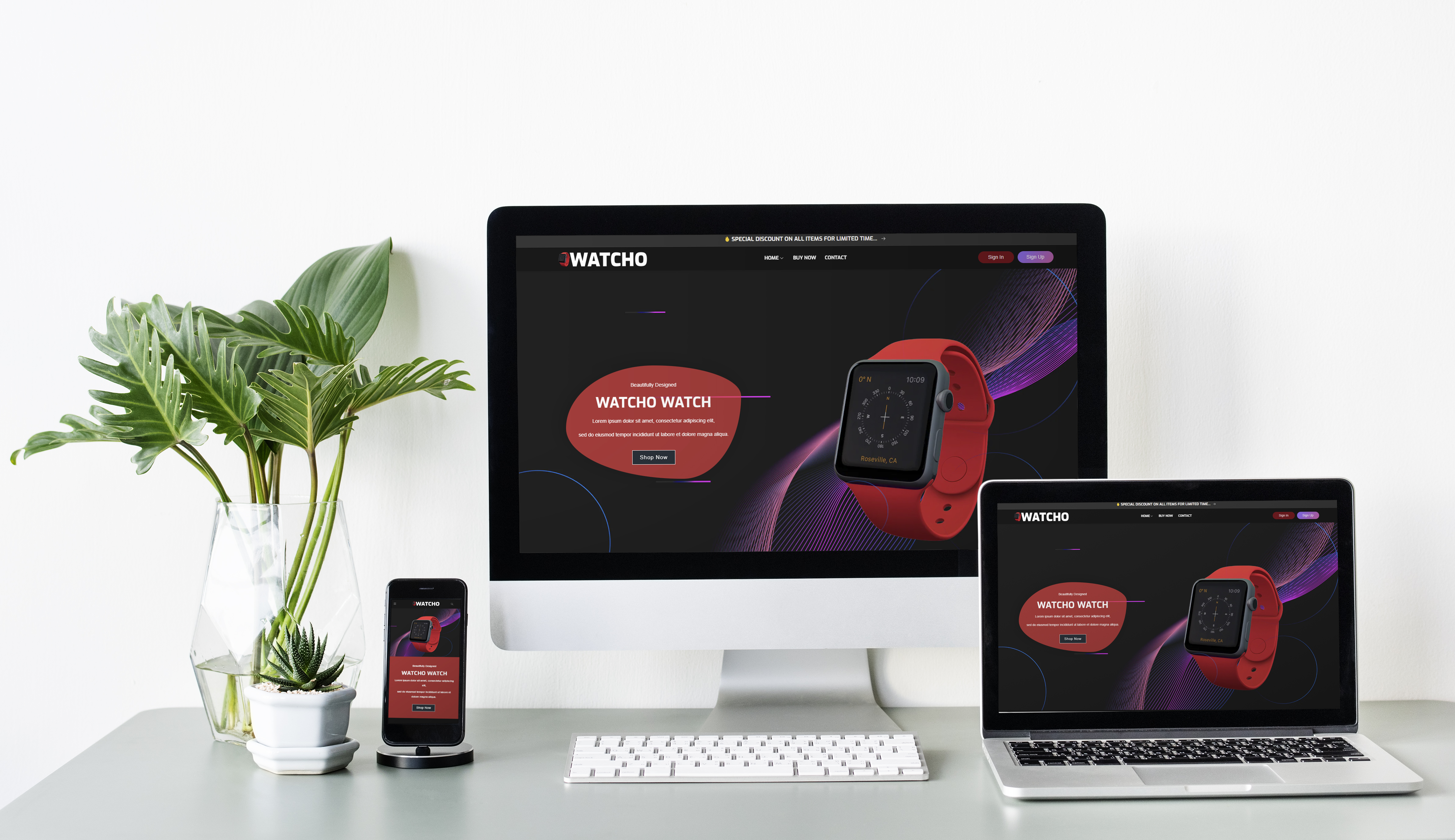 Portfolio Hero Image